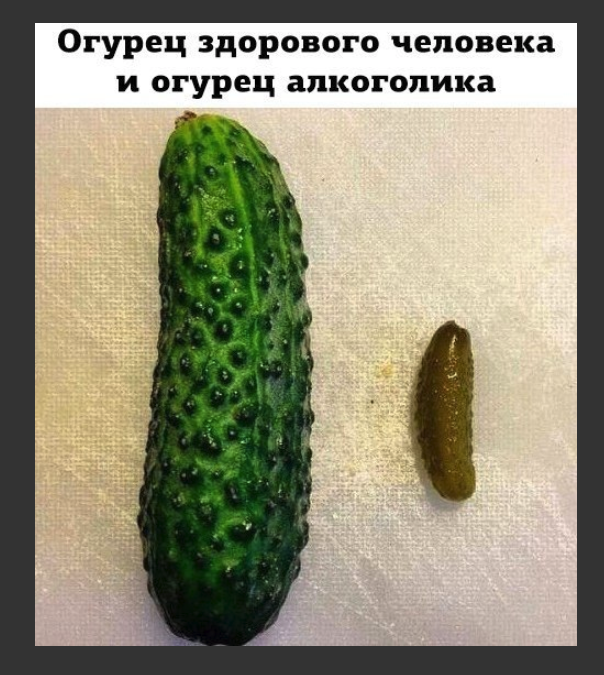 Screen Shot 2019-02-23 at 2.47.53 AM.png