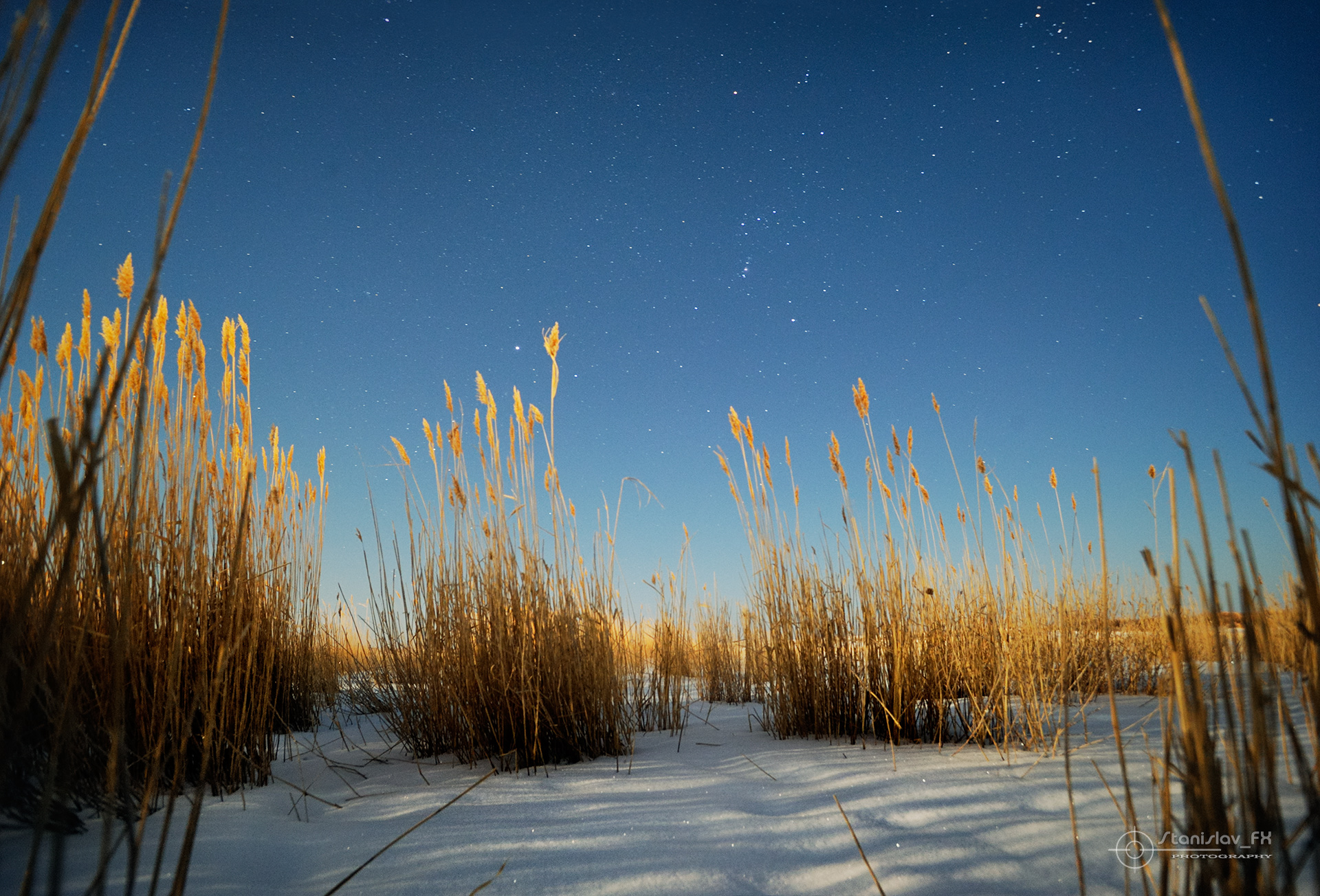 _DSC5620_Net.jpg