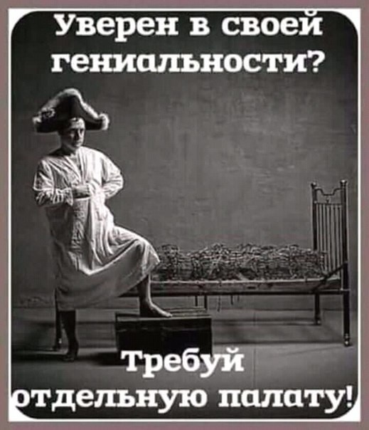 тимнг.jpg