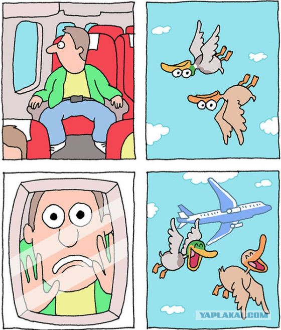 7317665.jpg