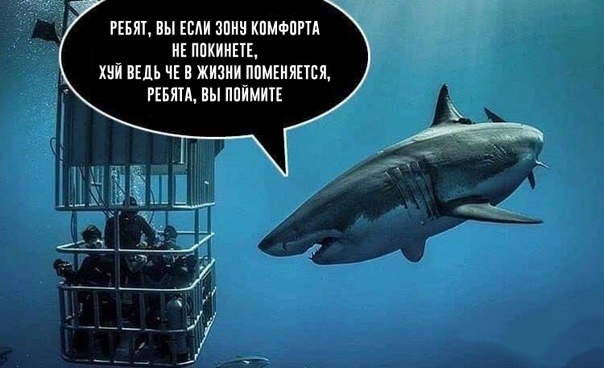 8BAD1624-699C-49AD-83EB-1FF4578A8100.jpeg