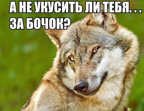 upload_2019-6-18_14-15-26.png