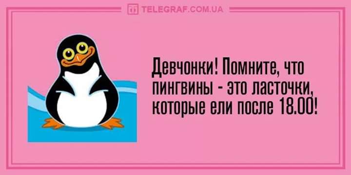 FB_IMG_1561221959723.jpg