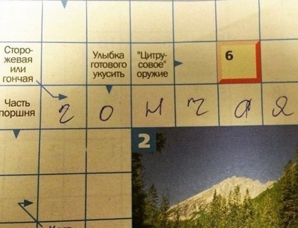 4IAAAgOm3uA-960.jpg