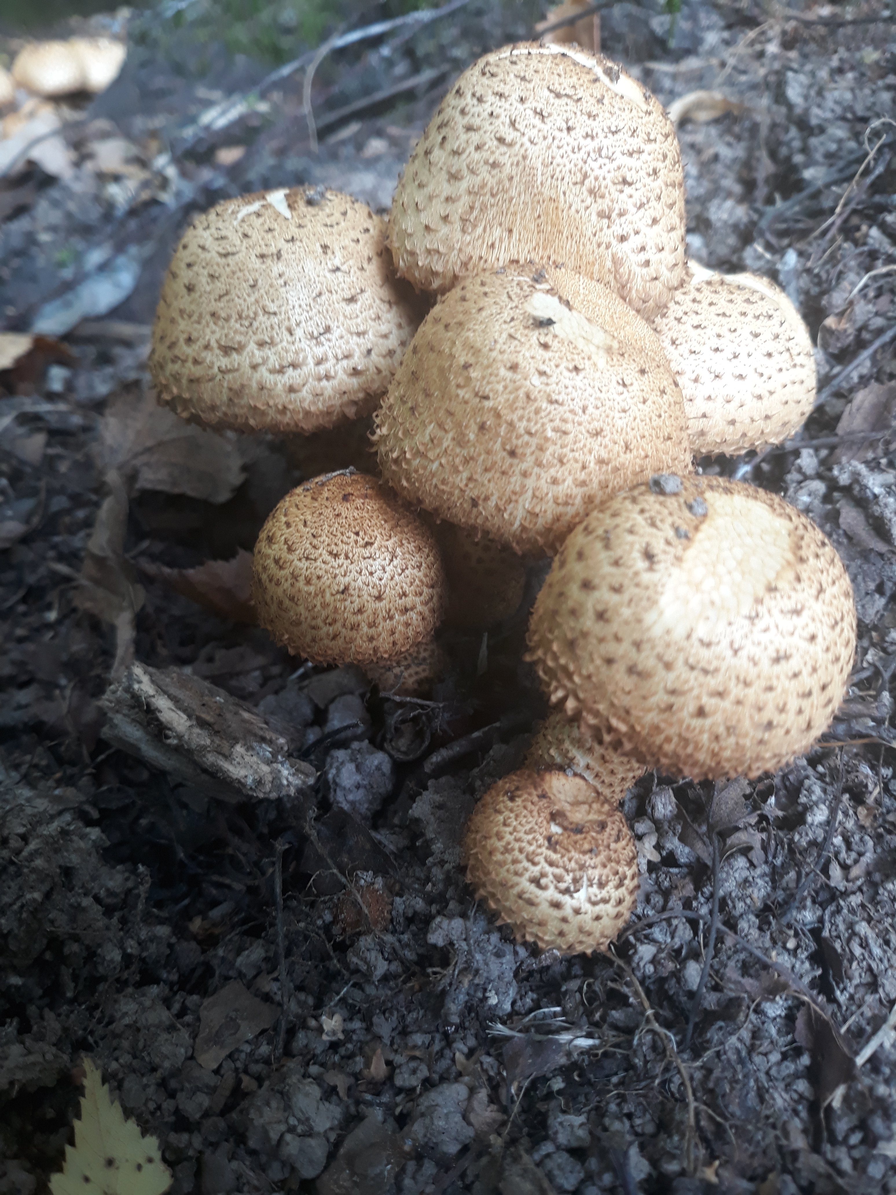20190904_140425.jpg