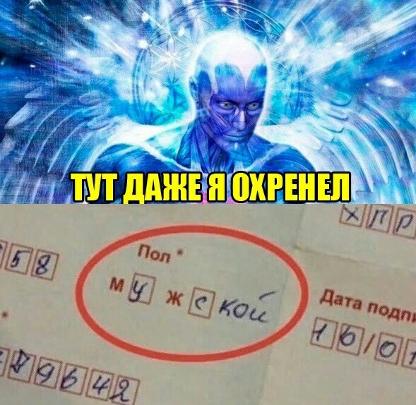 4792807.jpg