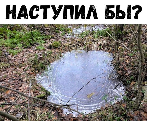 13374798.jpg