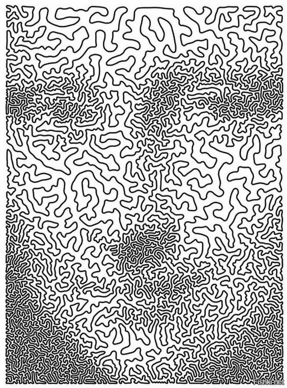 168309