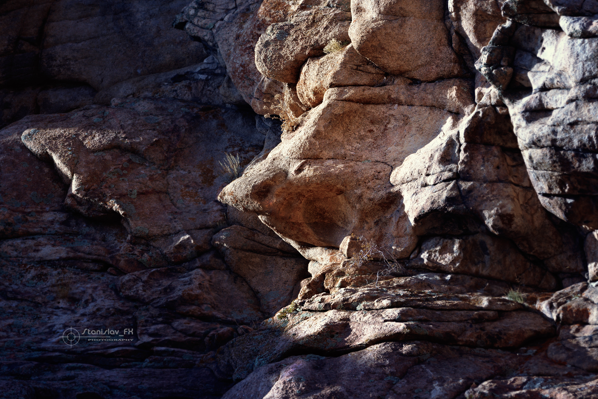 _DSC6216_Net.jpg
