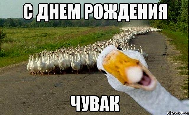 img_22.jpg