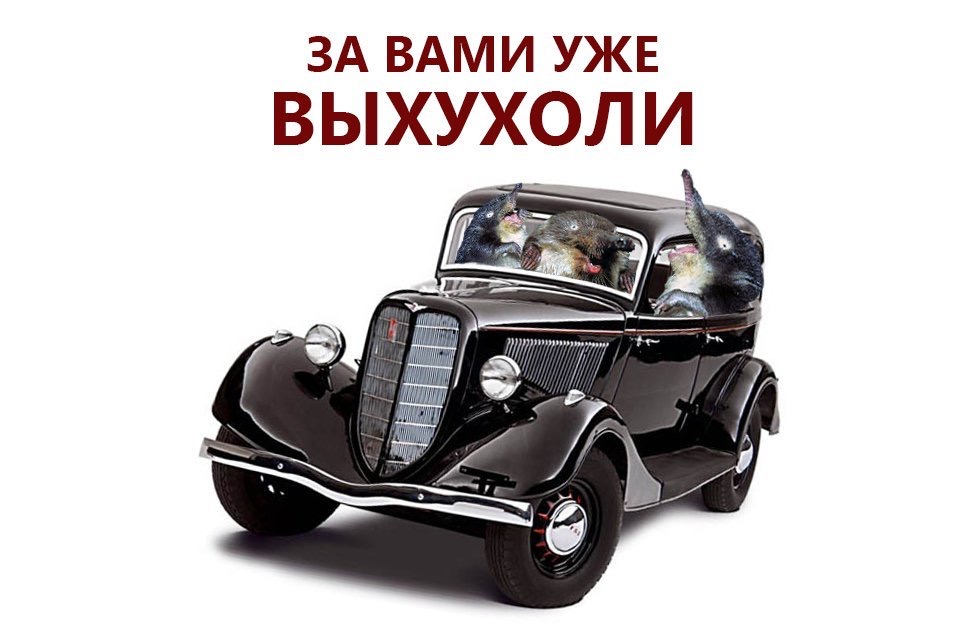 BDD6FE4D-2A73-46D9-97FF-BEB4C01CF2CB.jpeg