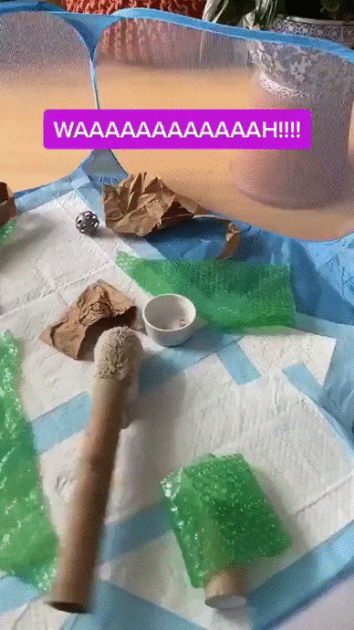 123.gif