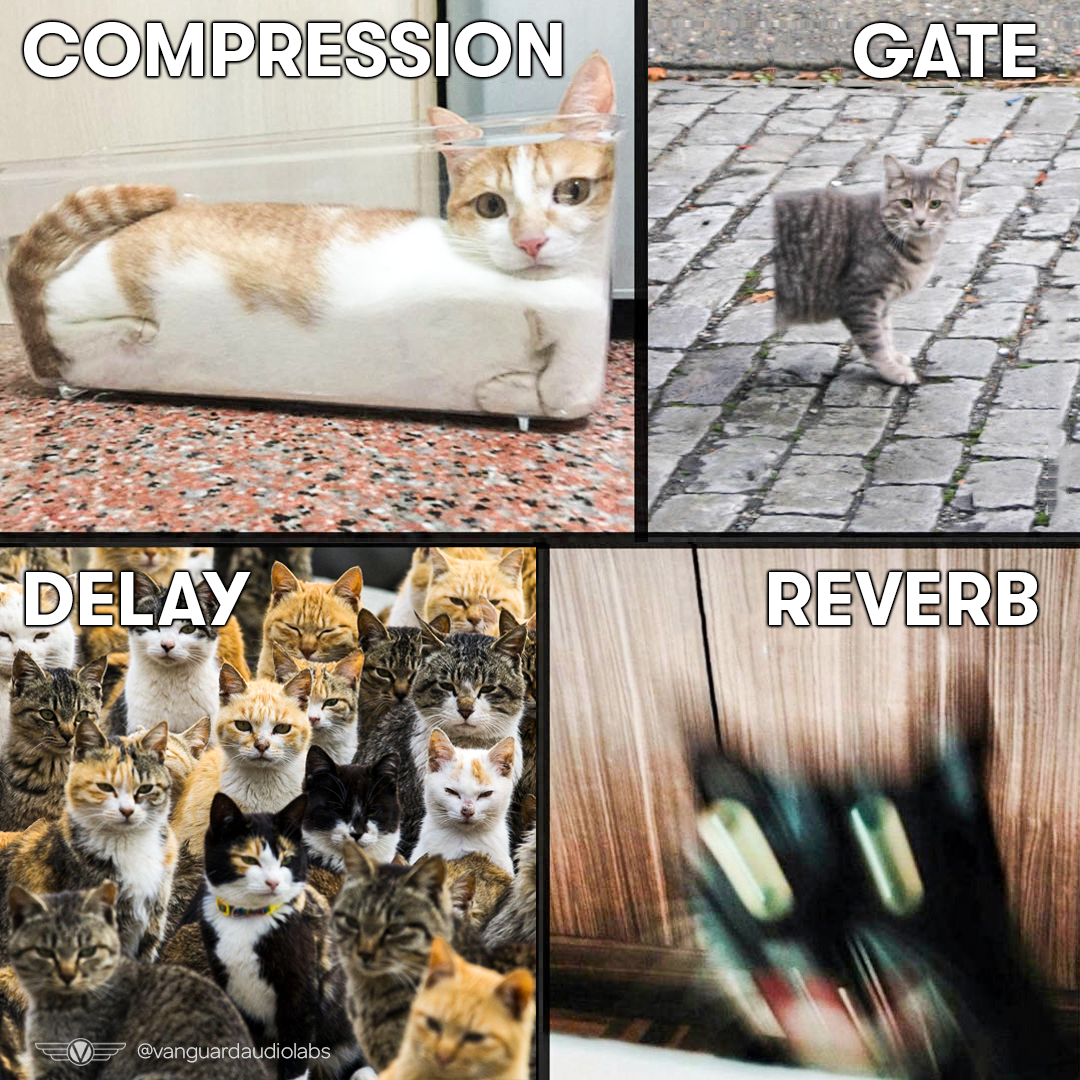 EbpRB1dXkAUfTxd.jpg