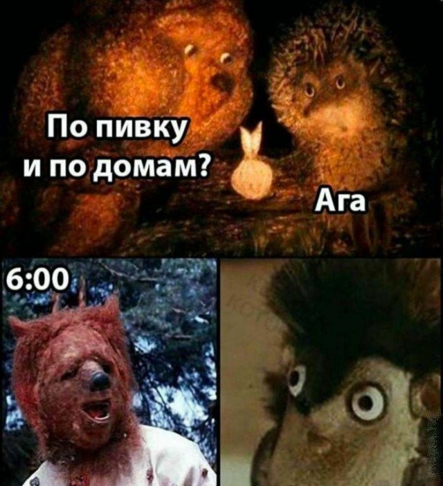 68539_p.jpg
