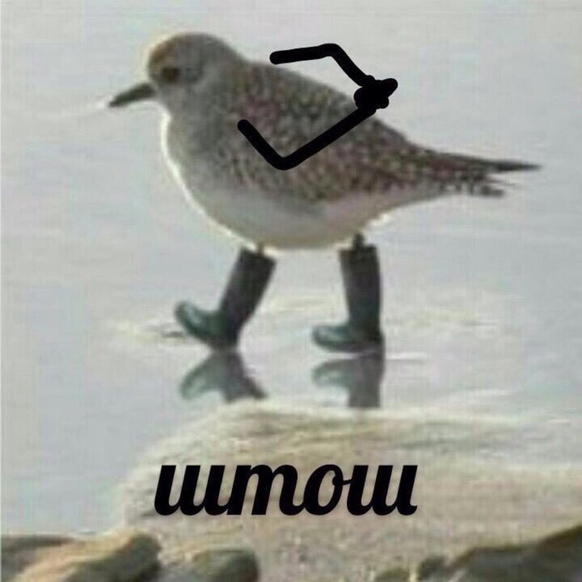 214037.jpg