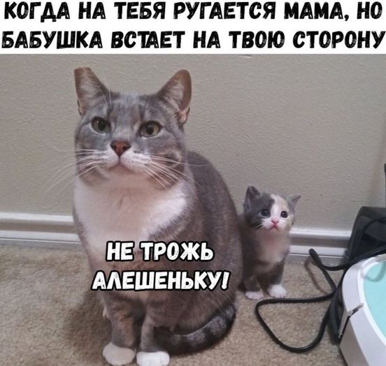 201041