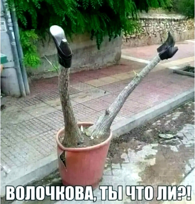 RKckcL6Bn8LXDaNrQUEB28ao2KA-960.jpg