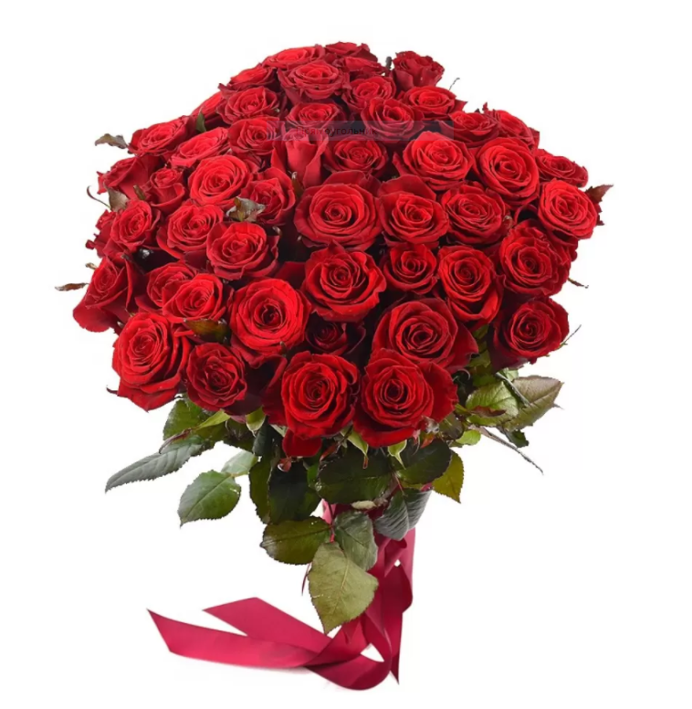 Roses.PNG