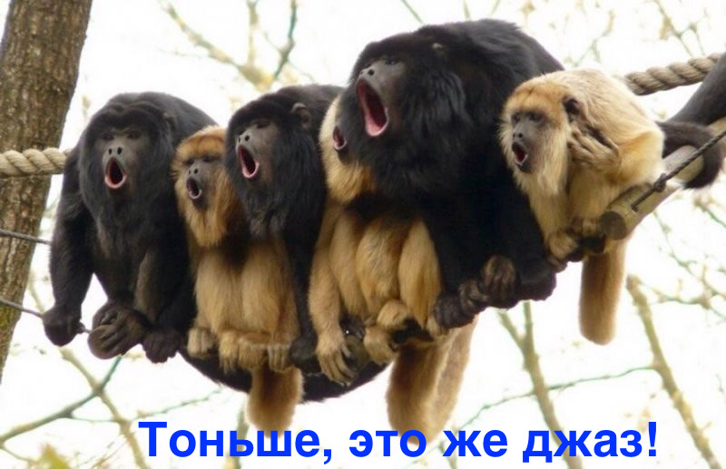 A_s10L-5taXXkfzHdvKNCkD0eUw-960.jpg