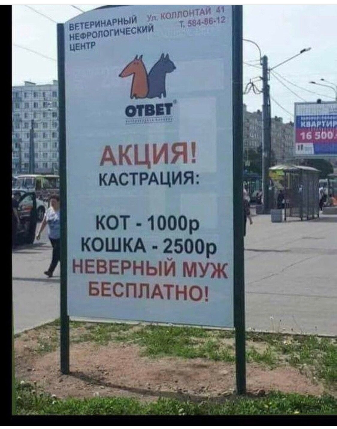 акция.jpg