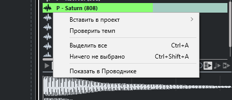 Трек_семплер_у_меня.png