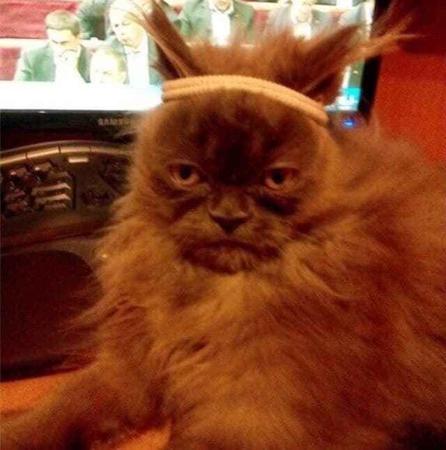 murfitnes.jpeg
