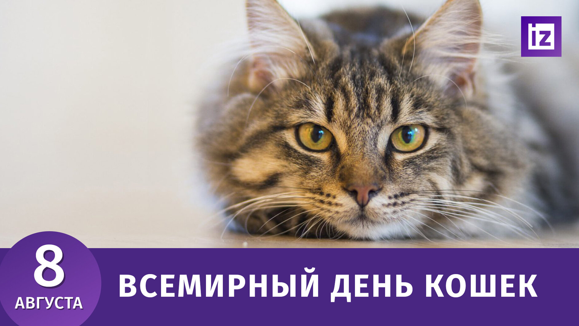 7BD64817-9C59-403A-A111-49B51938FC94.jpeg