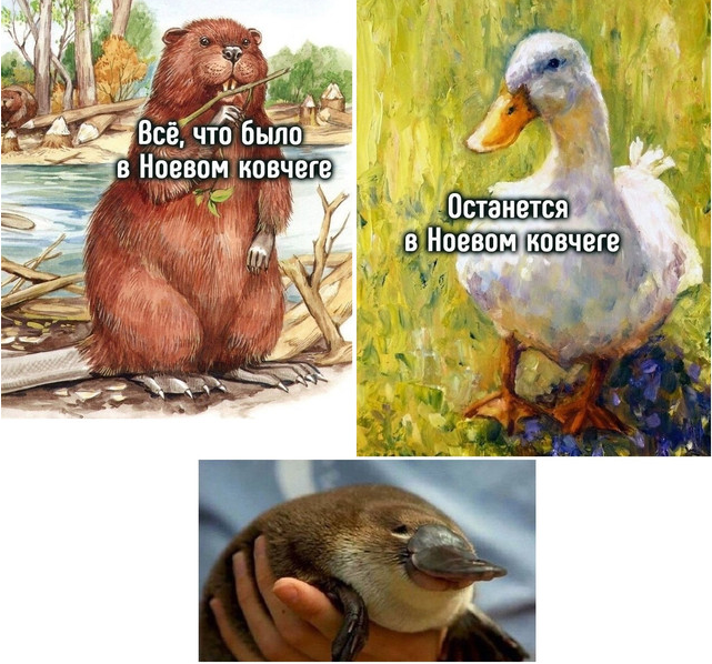 205945