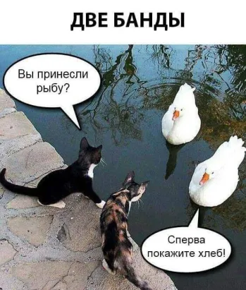 E319A97A-26E3-45EC-80B5-C2E55F02D781.png