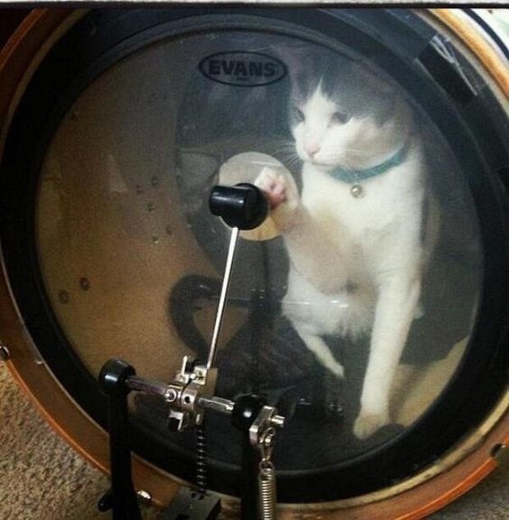 209570