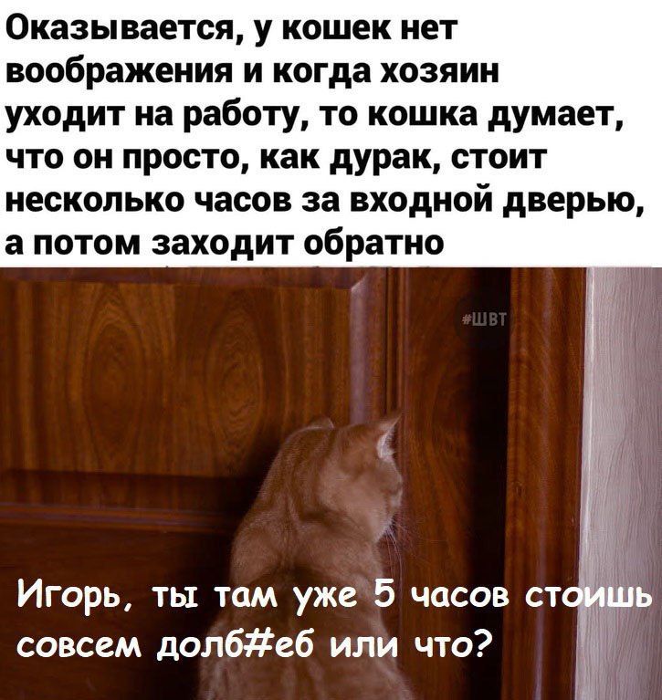 663FA6A9-8343-46D1-A5B1-E32D4B58A362.jpeg