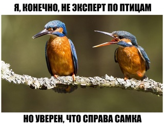 ik_iFZY_7pY.jpg