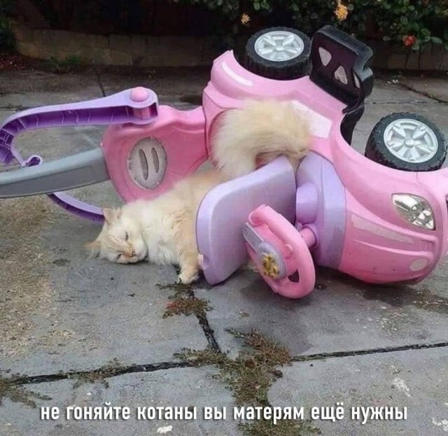 213836