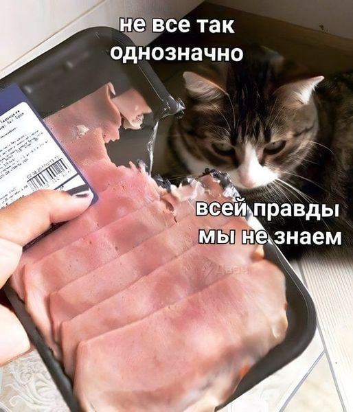 277746837_1128440308007205_3979581884730521295_n.jpg