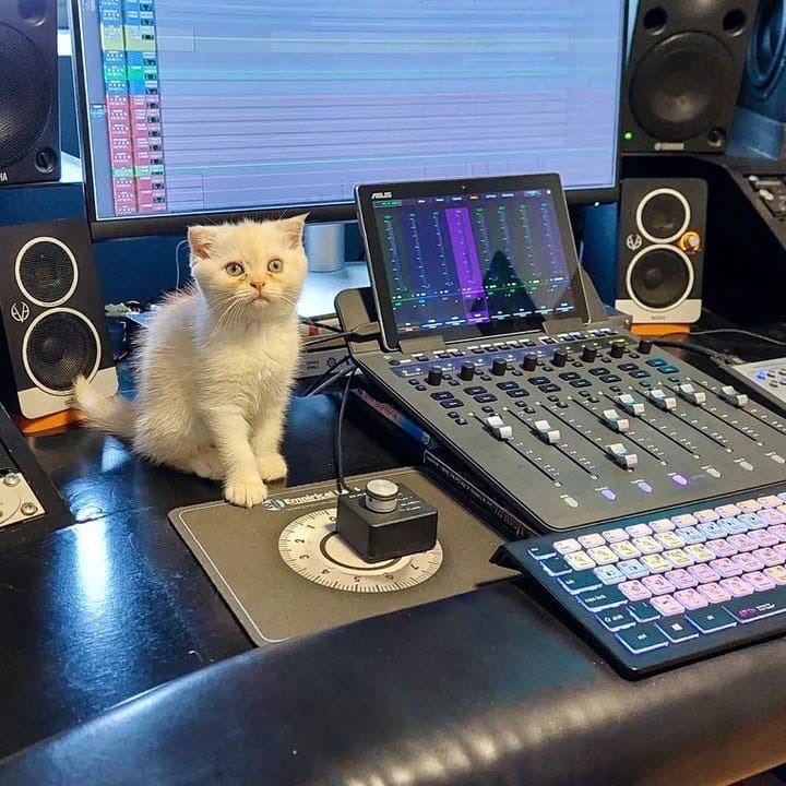 217372