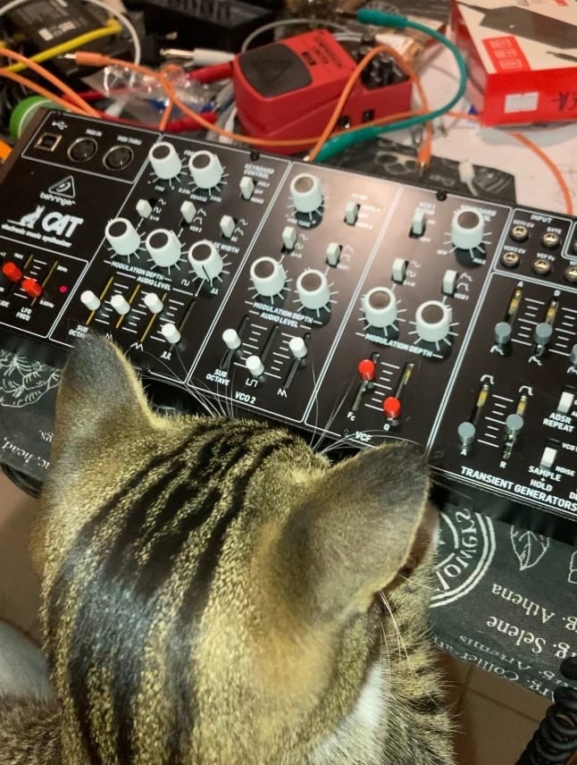 222884