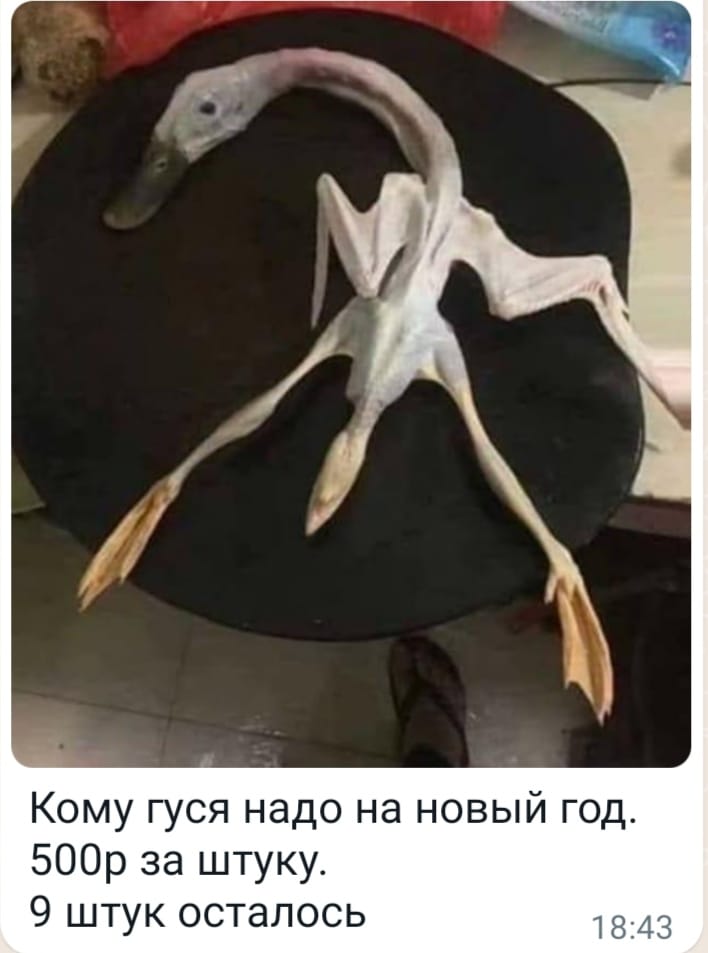 8128.jpg