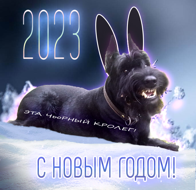 223779