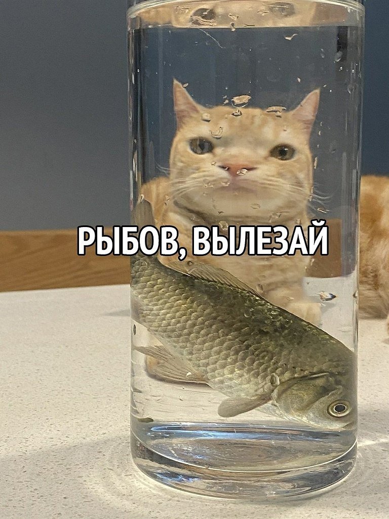 224221