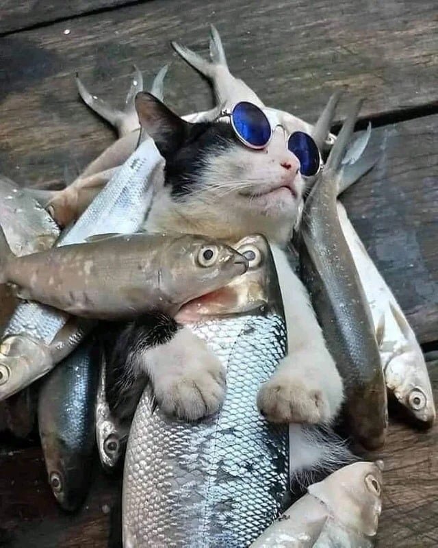 224222
