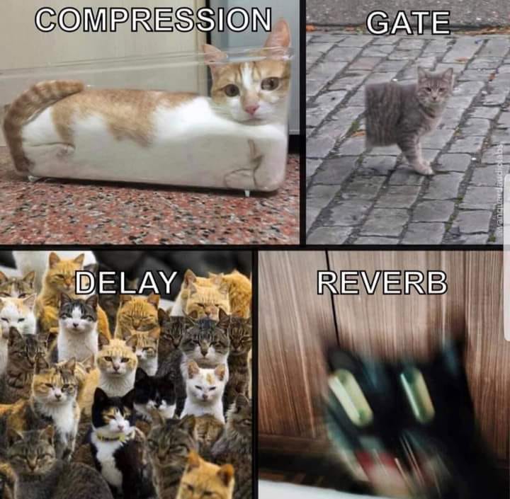 _.jpg