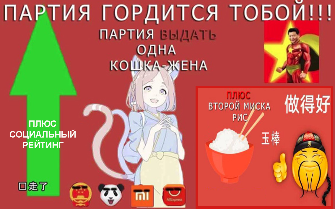 222.jpg