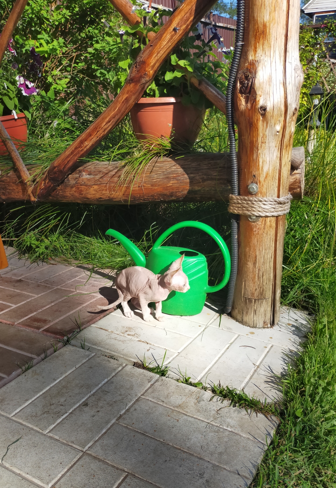 Screenshot_2023-08-17-12-31-27-41_99c04817c0de5652397fc8b56c3b3817.jpg