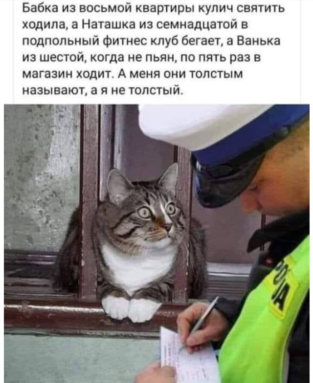 233492