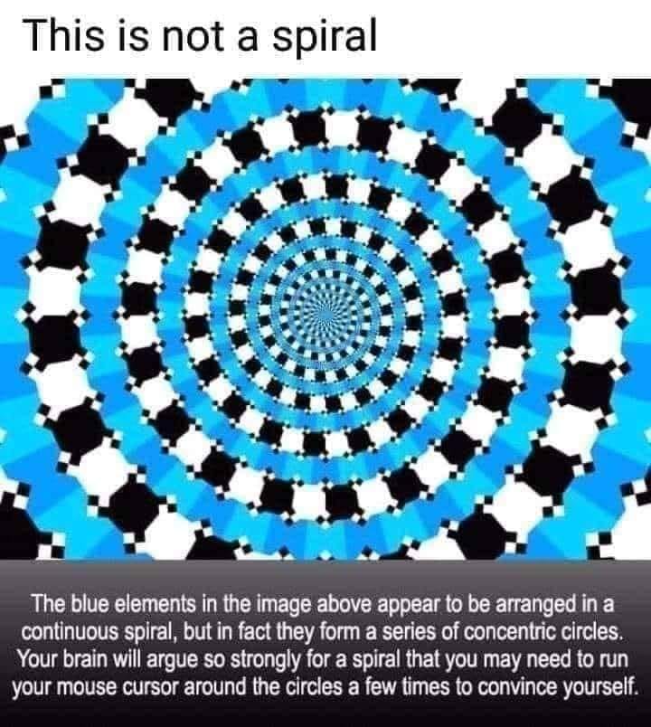 233558