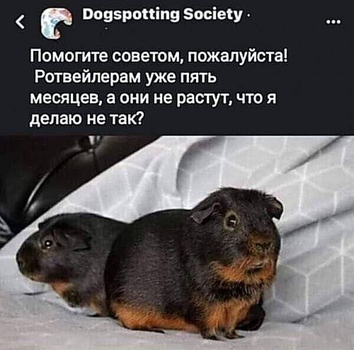 помогите советом.jpg