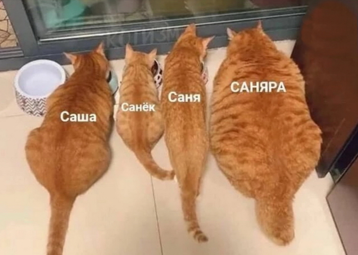 санек.jpg