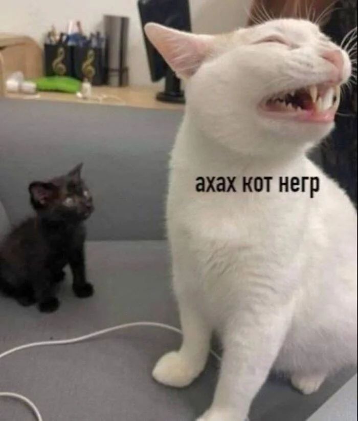 238153
