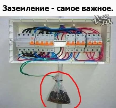 IMG_7371.jpeg
