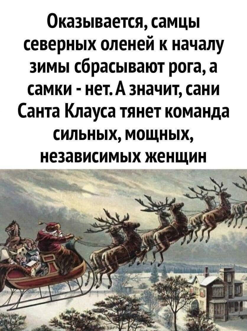 242153